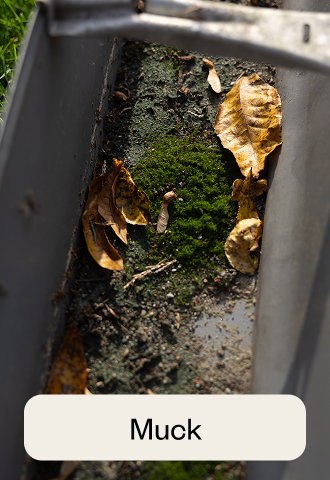 Muck