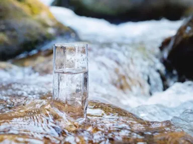 Spring vs purified water