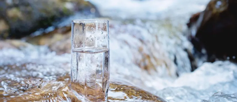 Spring vs purified water