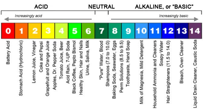The PH scale