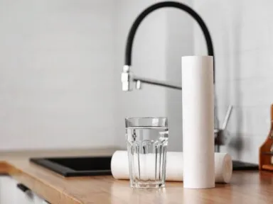 Reverse osmosis vs filtration