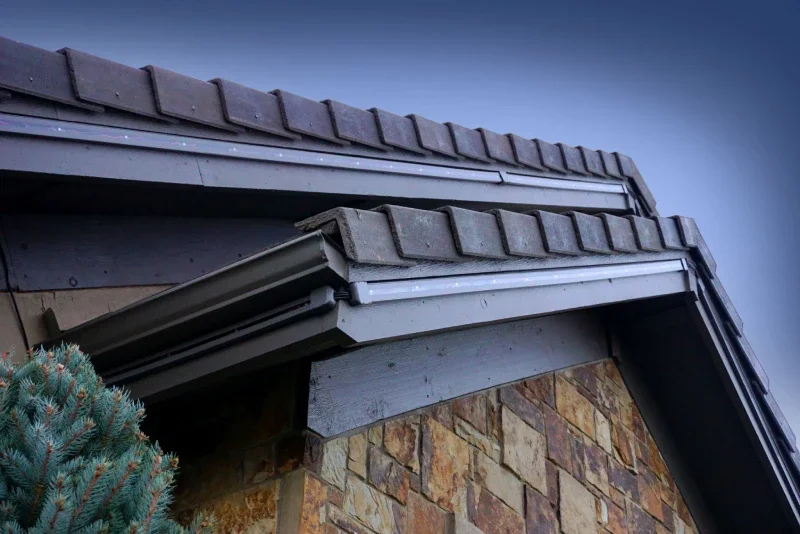 invisible-by-day-stunning-by-night